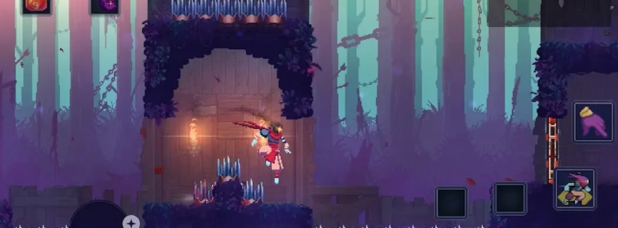 Dead Cells : 5PLAY Edition